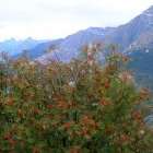 Via alta della verzasca foto 6 