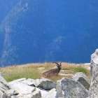 Via alta della verzasca foto 96 